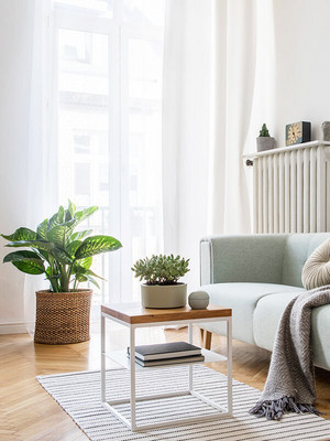 Ein stilvoll eingerichtetes Wohnzimmer