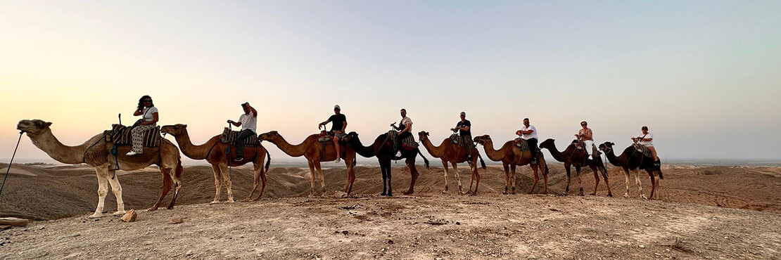 Menschen sitzen hintereinander auf Kamelen in der Wüste